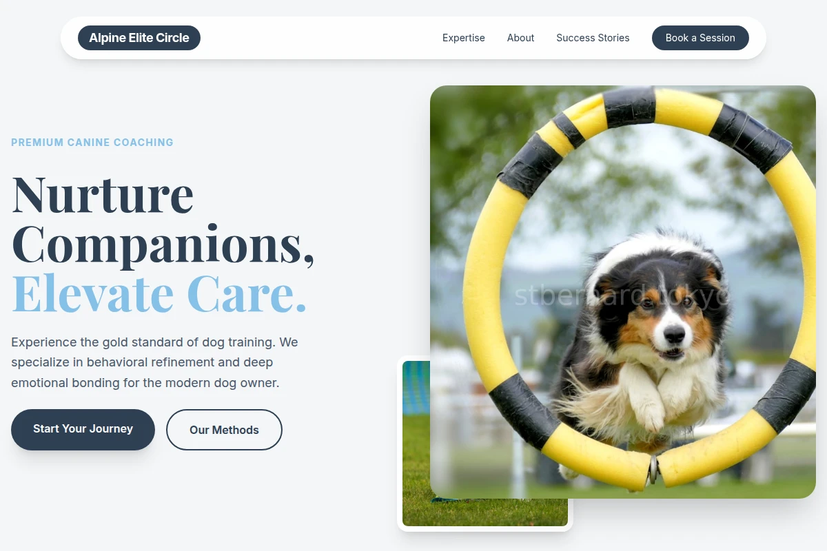 Marble Dog Training
